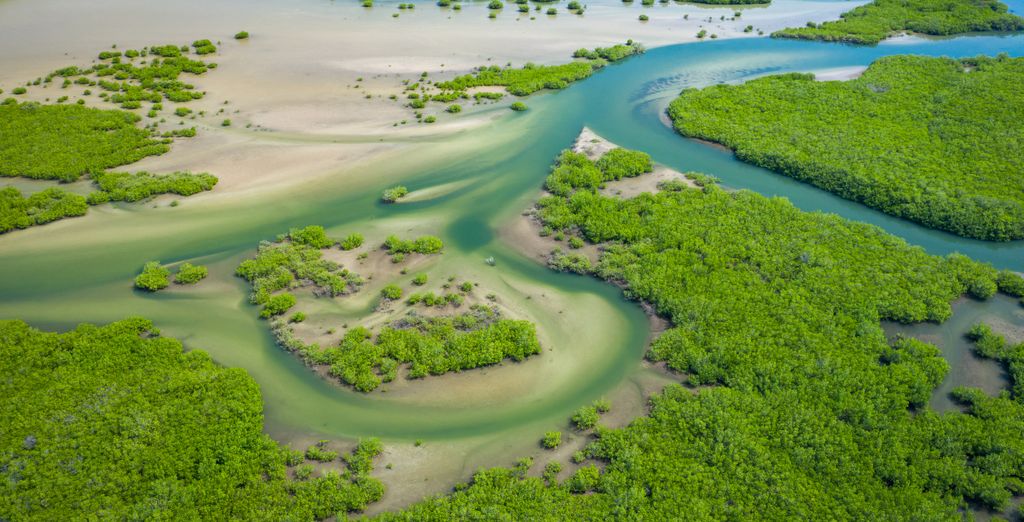 Tour privato di 7 notti tra baobab e spiagge incredibili