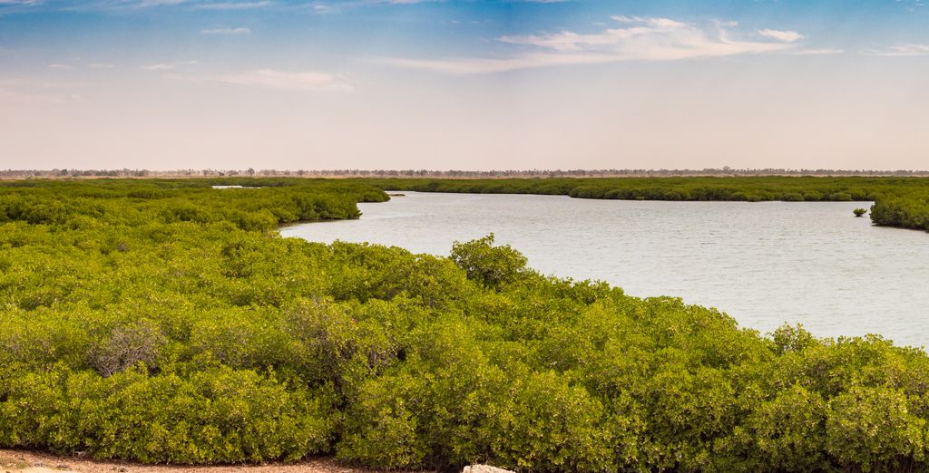 Tour privato di 7 notti tra baobab e spiagge incredibili