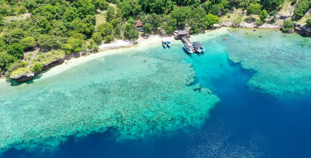 Combinato Jungle Retreat 4* e Kupu Kupu Jimbaran Hotel 5*