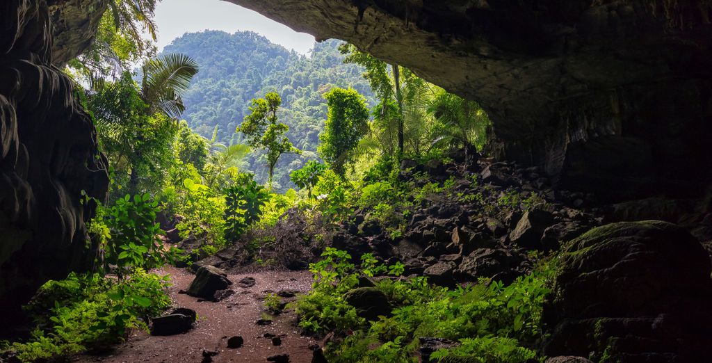 Tour di 10 o 13 notti tra grotte, giungla e storia 