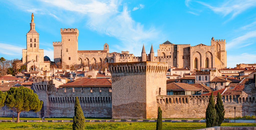 Château d'Arpaillargues 4*