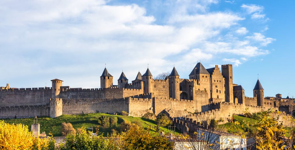 Château d'Arpaillargues 4*