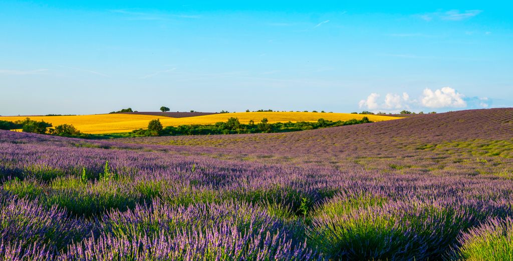 Château d'Arpaillargues 4*