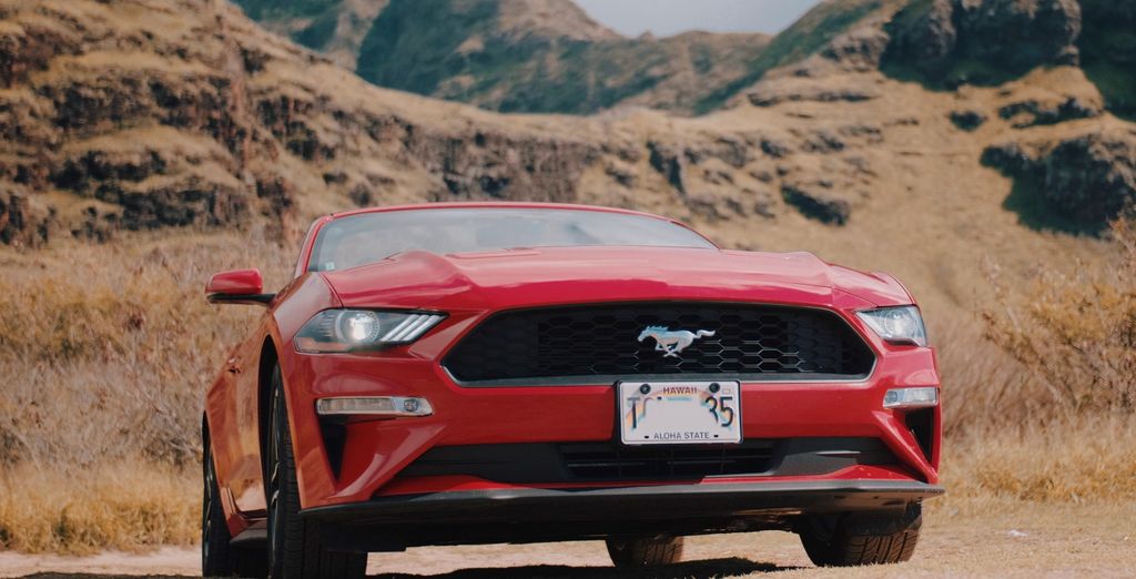 14-Night Tour in Western USA