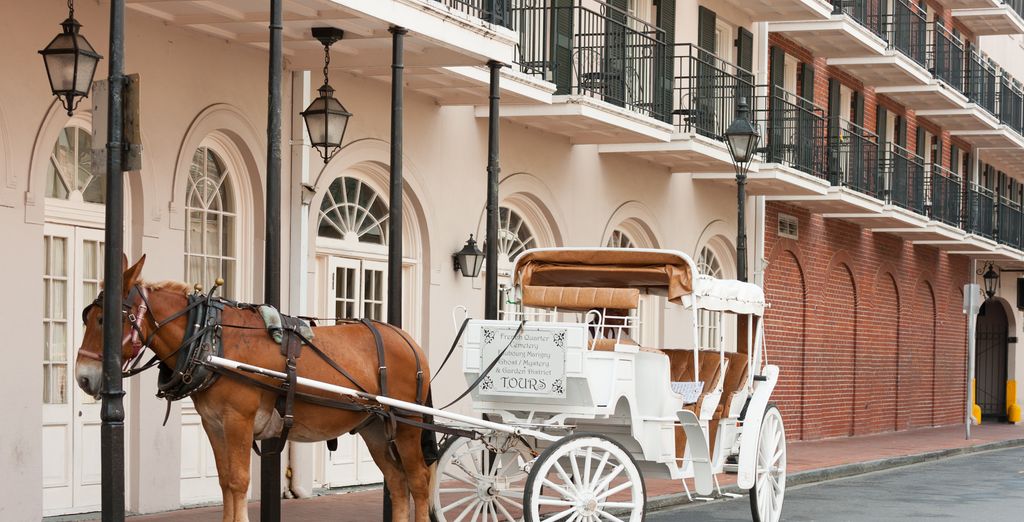 Hilton New Orleans Riverside 4*