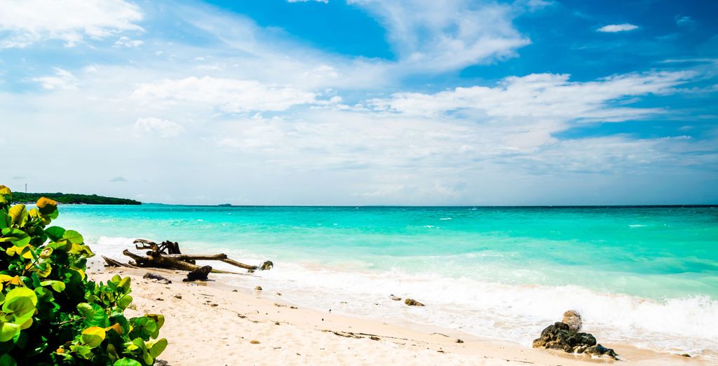 Tour privato: Tra fascino e cultura con possibile estensione balneare 