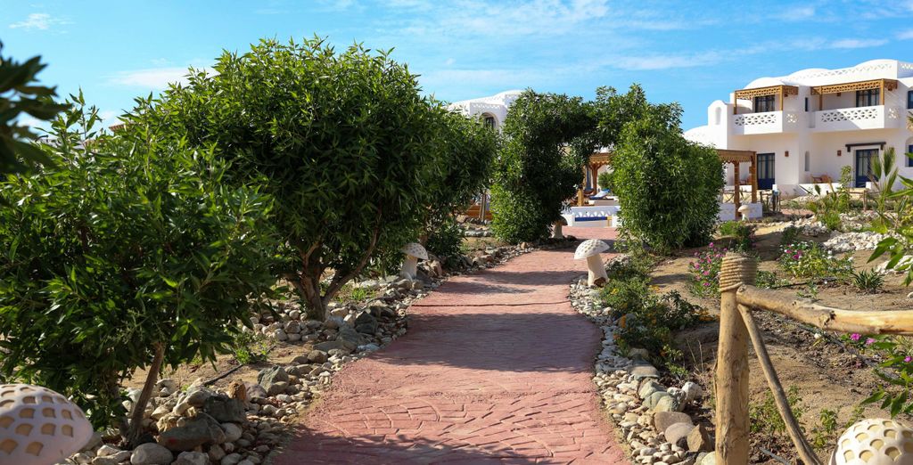 Beach Safari Resort Nubian 4*