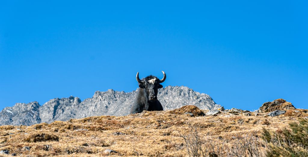 Tour privato tra la cultura e la natura del Paese