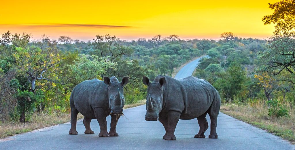 Autotour: Il patchwork sudafricano