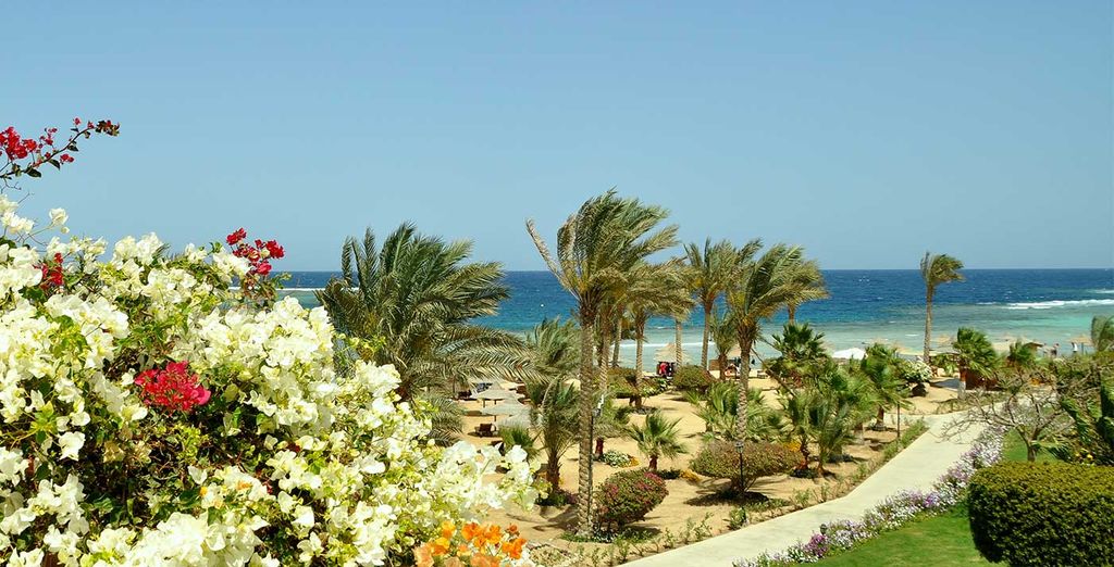 Futura Club Brayka Resorts - Royal Brayka 4*