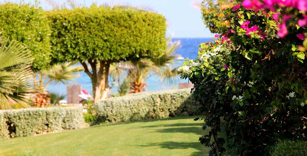 Futura Club Brayka Resorts - Royal Brayka 4*
