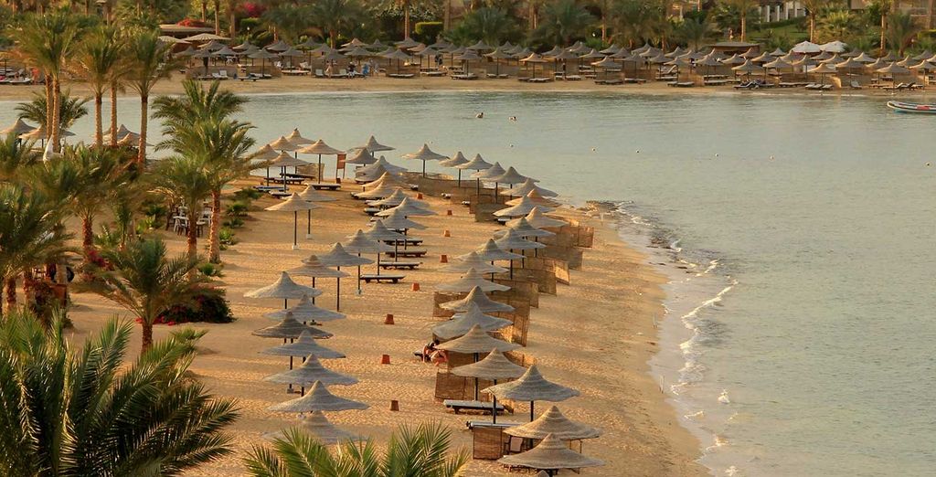 Futura Club Brayka Resorts - Royal Brayka 4*