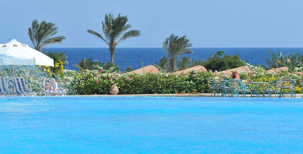 Futura Club Brayka Resorts - Royal Brayka 4*