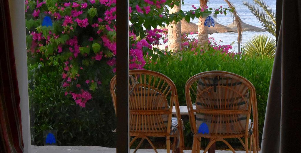 Futura Club Brayka Resorts - Royal Brayka 4*