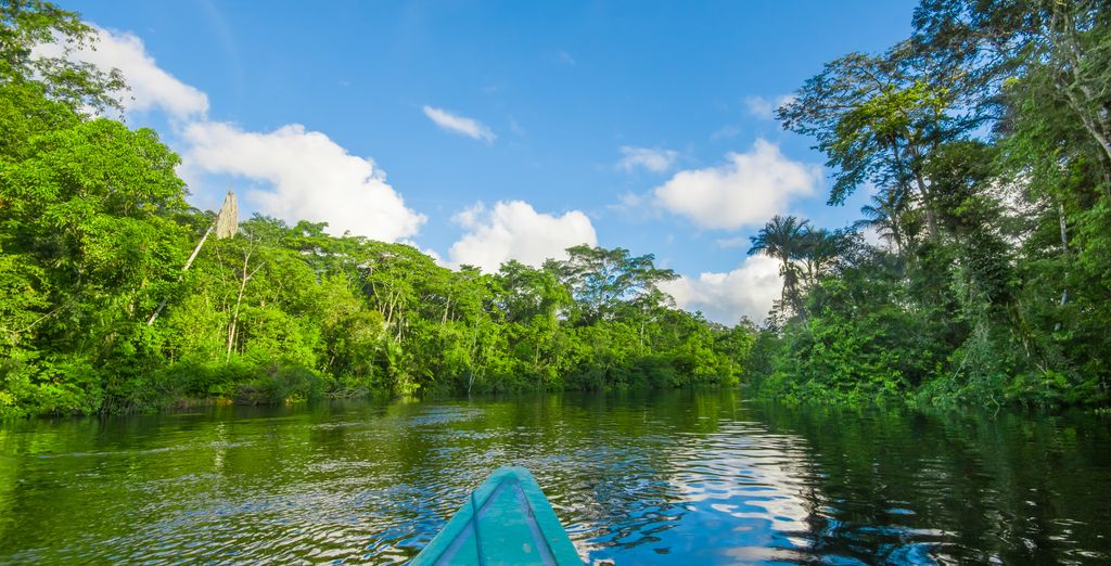 Circuit en liberté : Deux mythes du Brésil de Rio à l'Amazonie - Brésil