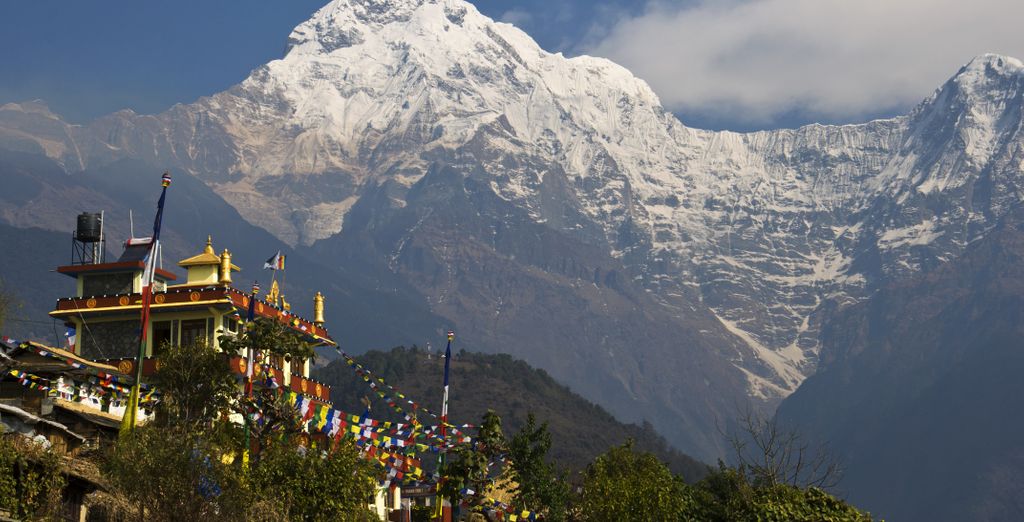 Tour di 7 notti tra safari nella giungla e immersione nella cultura locale