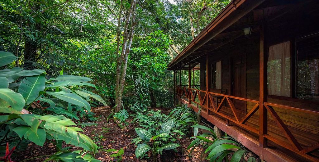 Autotour: tesori naturali del Paese e possibile estensione al Corcovado