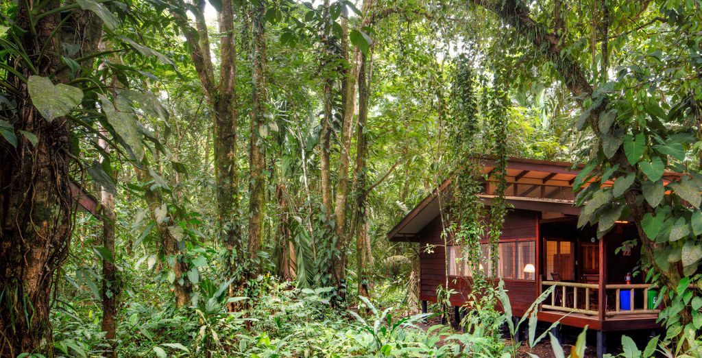 Autotour: tesori naturali del Paese e possibile estensione al Corcovado
