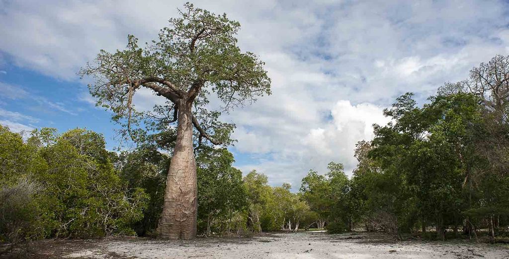 Anjajavy Le Lodge - Relais & Châteaux 4*