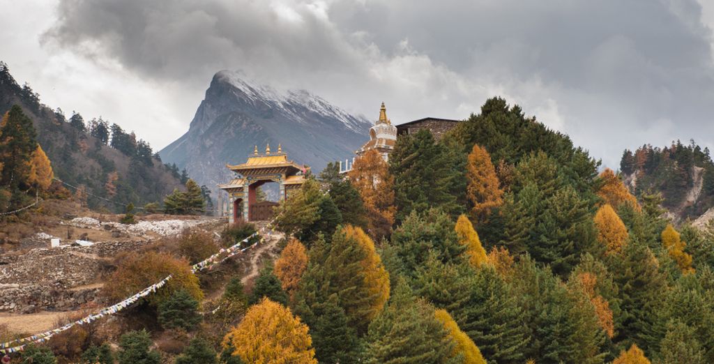 Tour privato: Alla scoperta delle meraviglie del Paese