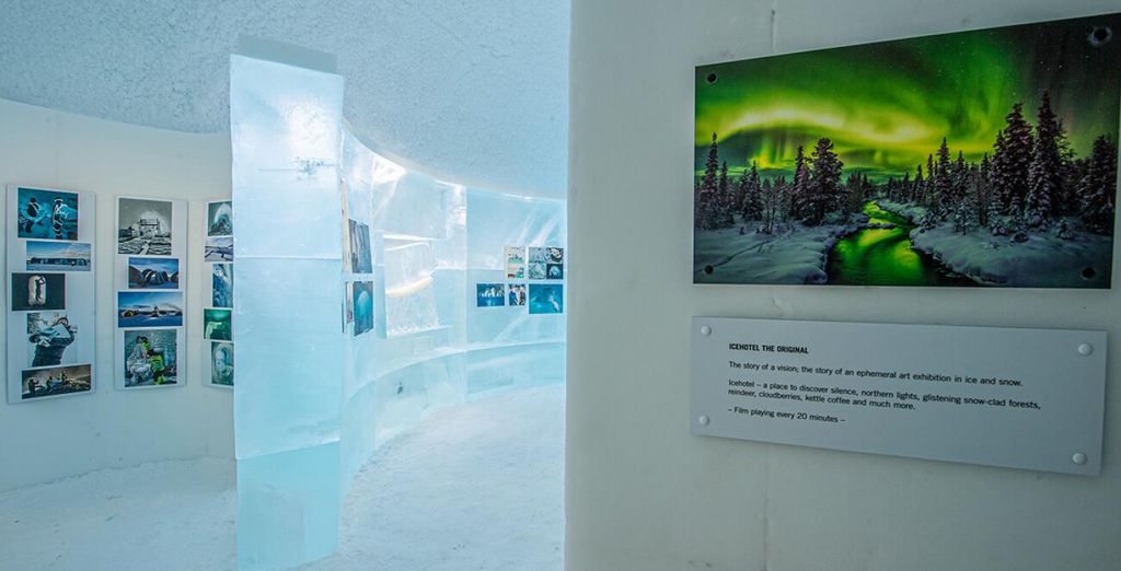 Tour nel Nord con fuga in Icehotel 
