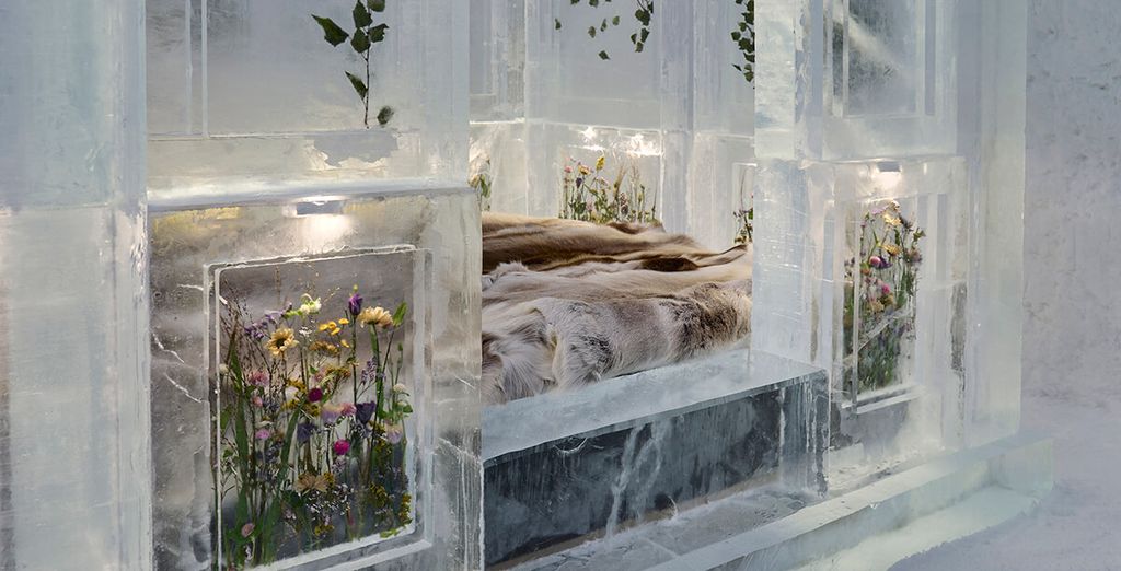 Tour nel Nord con fuga in Icehotel 