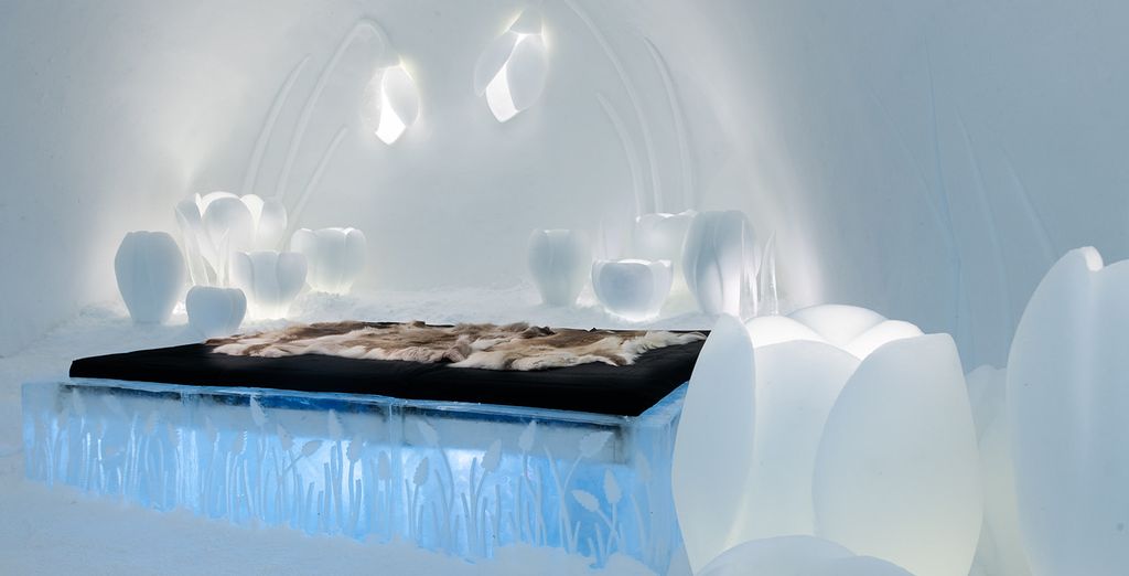 Tour nel Nord con fuga in Icehotel 