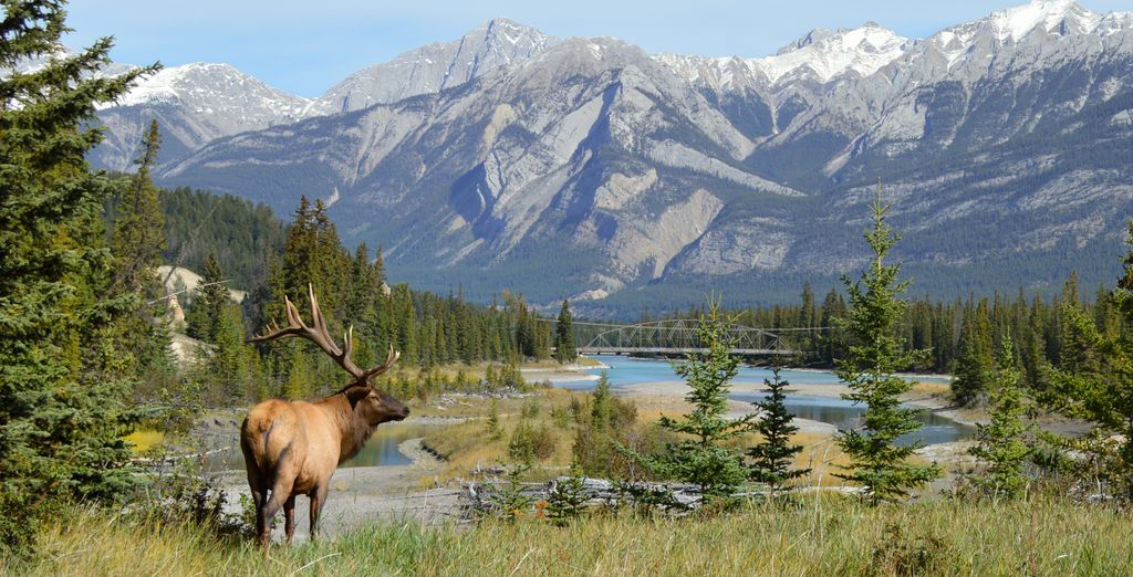 Autotour: Il meglio del West canadese