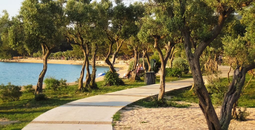 Crociera: Tra le Isole del Quarnero e la Dalmazia settentrionale
