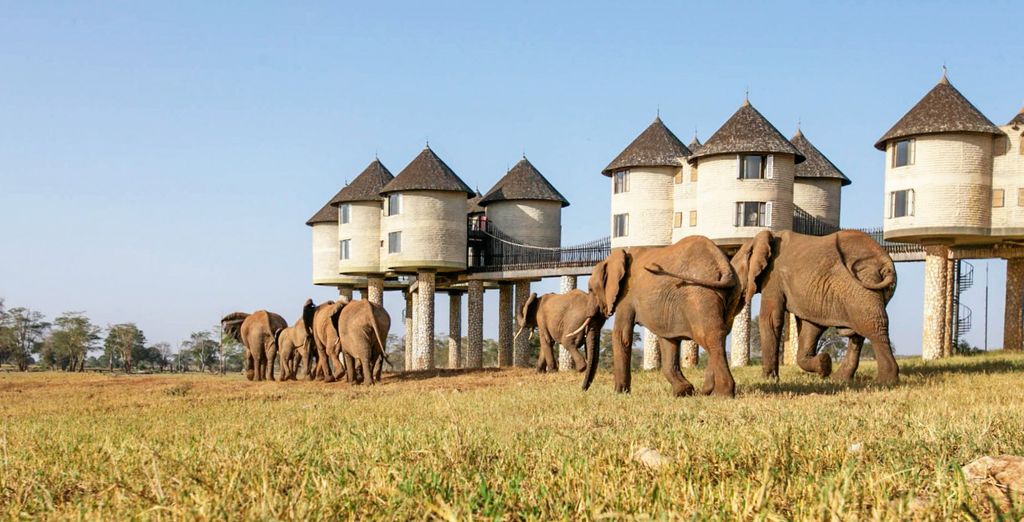 Baobab Beach Resort 4* und Safari - Kenia