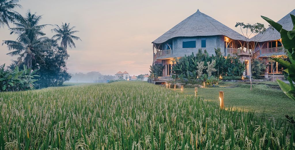 Trio The Wakanda Resort Ubud 4*, Pramana Natura Nusa Penida 5* e Renaissance Bali Nusa Dua Resort 5*