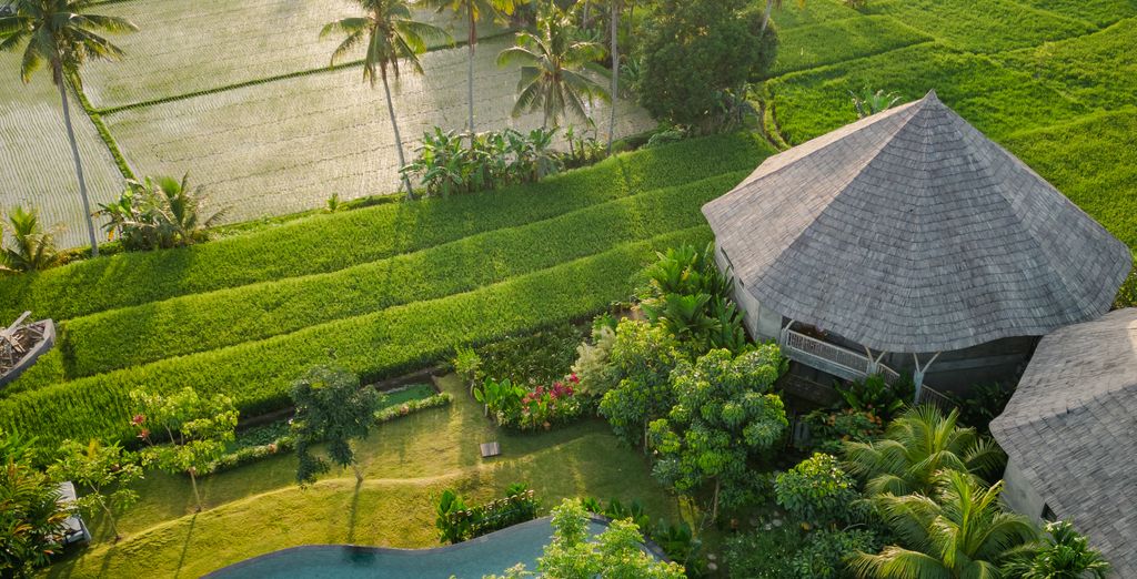 Trio The Wakanda Resort Ubud 4*, Pramana Natura Nusa Penida 5* e Renaissance Bali Nusa Dua Resort 5*