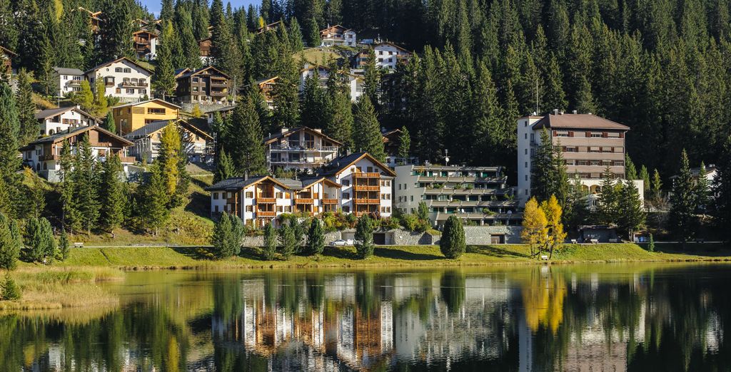 Aves Arosa