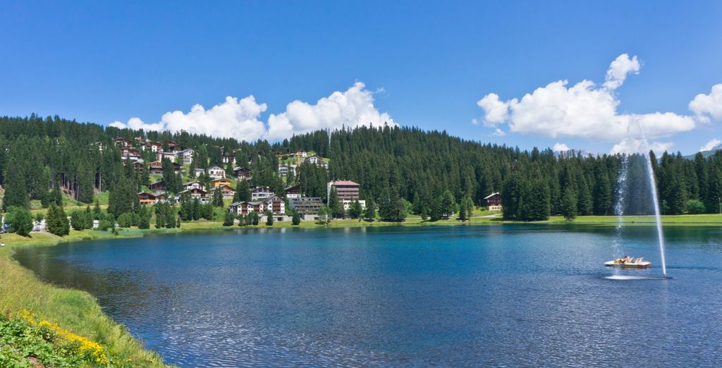 Aves Arosa