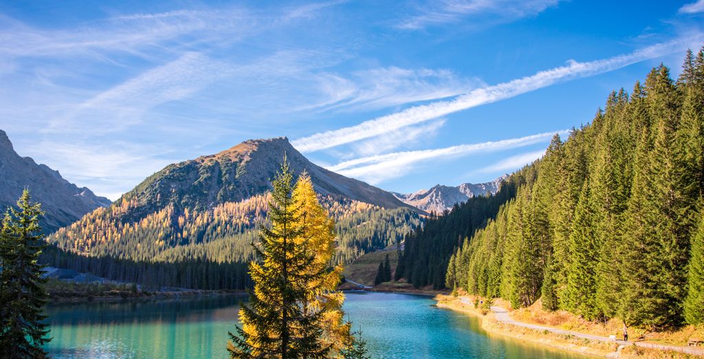 Aves Arosa