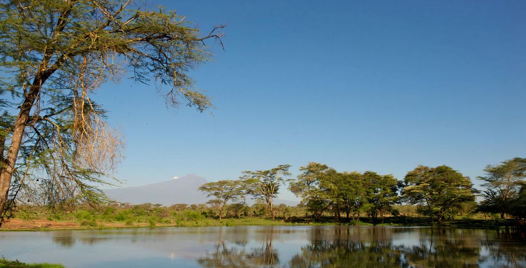Combinato Safari di 2, 3 o 4 notti e Temple Point Resort 4*