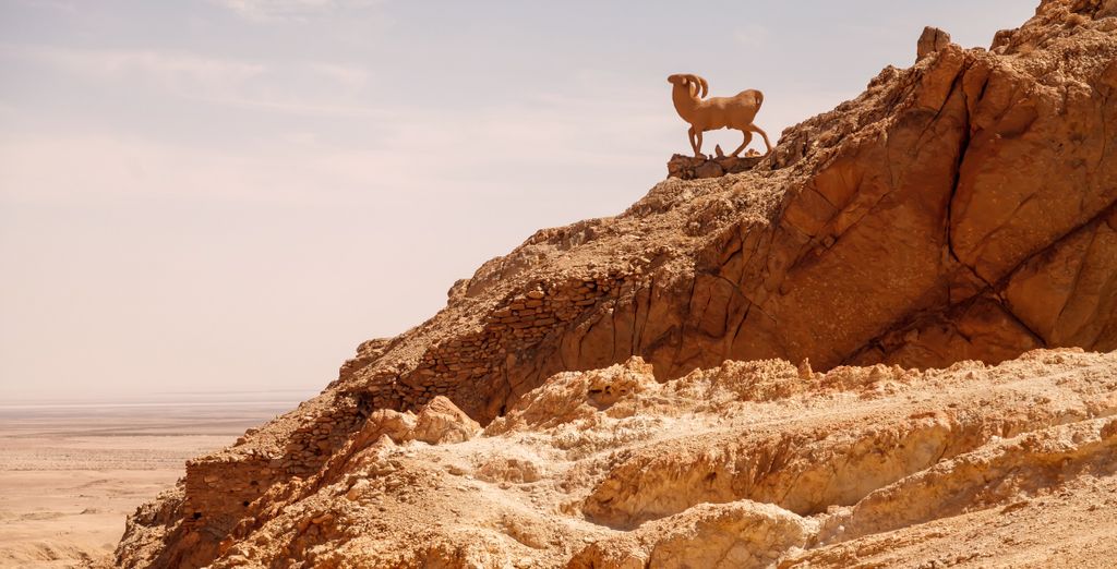 Tour di gruppo: Deserto e spiaggia