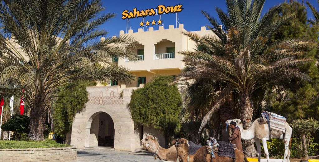 Tour di gruppo: Deserto e spiaggia
