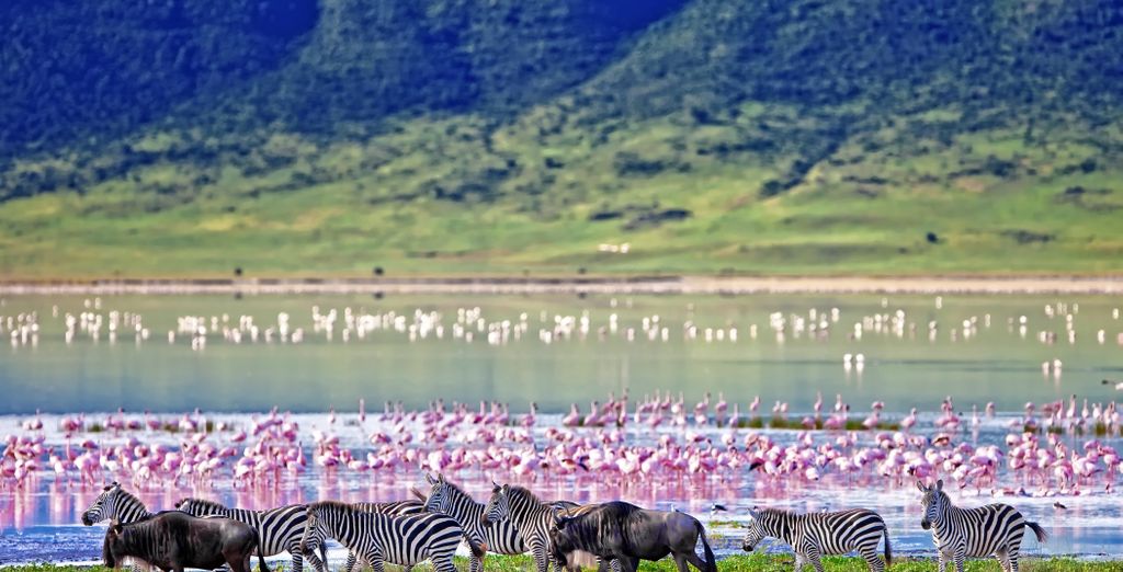 Combinato Safari e Sea Cliff Resort & Spa 5*