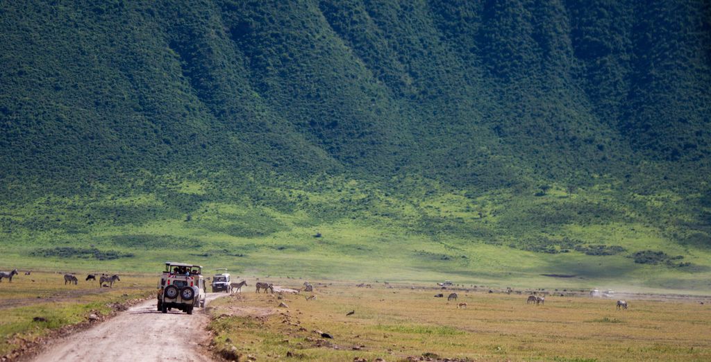 Safari tra parchi nazionali con estensione al Toa Hotel & Spa 5*