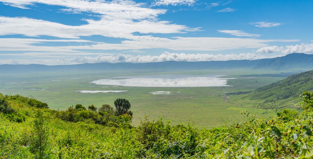 Safari con estensione al Toa Hotel & Spa 5*