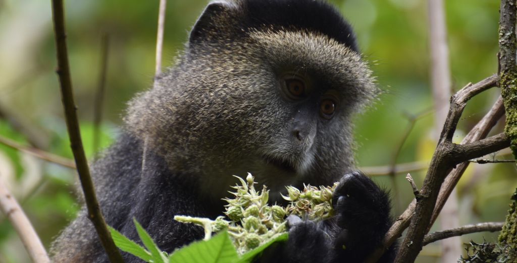 Tour privato: Viaggio nell'entroterra africano