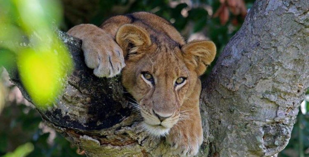Tour privato: Viaggio nell'entroterra africano