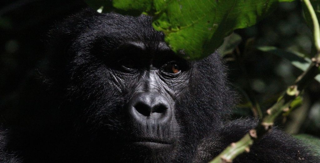 Tour privato: Viaggio nell'entroterra africano