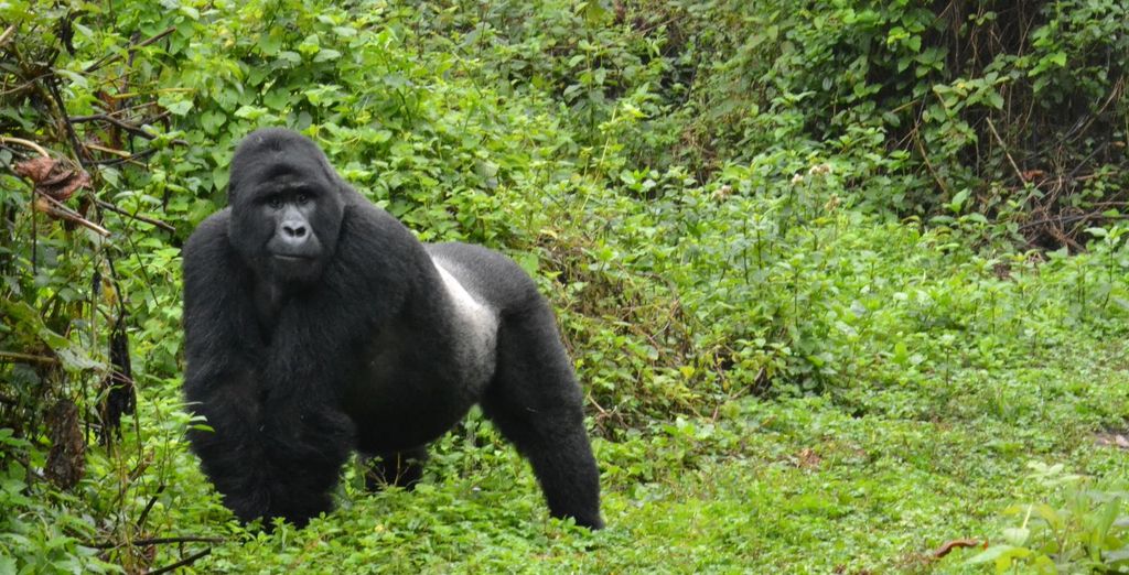 Tour privato: Viaggio nell'entroterra africano