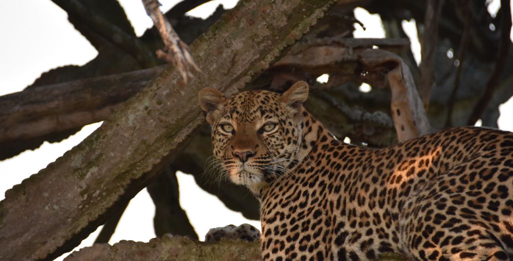 Tour privato: Viaggio nell'entroterra africano