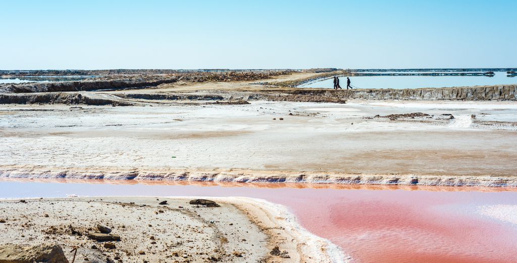 Tour di gruppo: Deserto e spiaggia