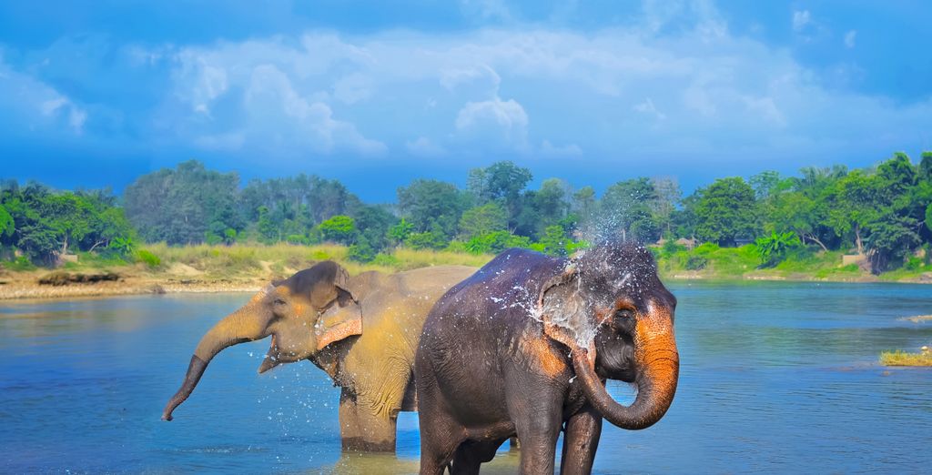 Tour privato: Il Nepal autentico
