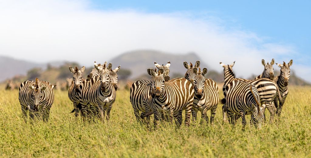 Safari con estensione al Toa Hotel & Spa 5*