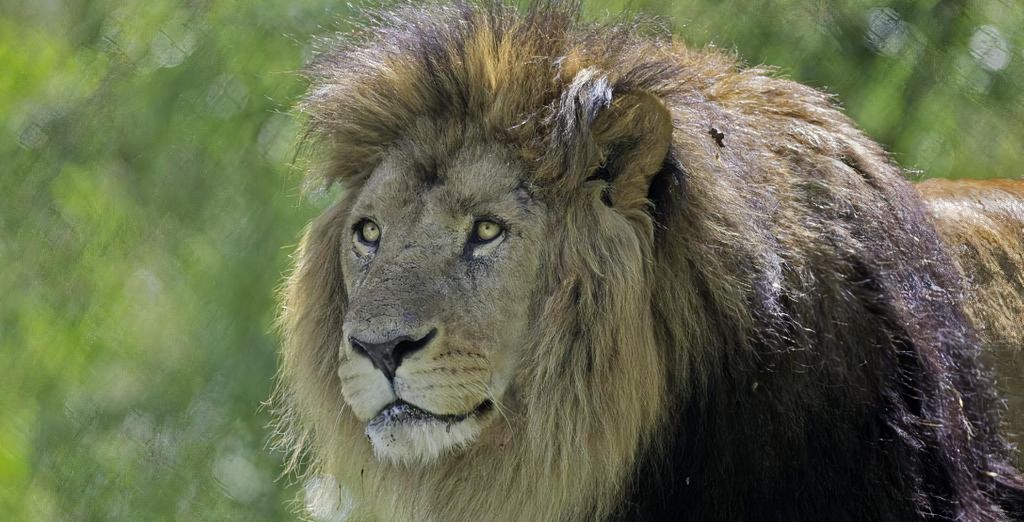 Terres d'Afrique - Thoiry ZooSafari